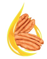 Pecan links and resources Southern Nuts