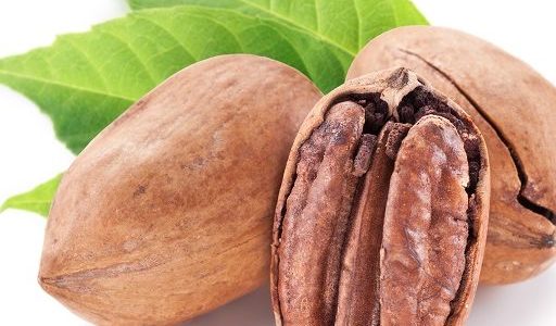 History of pecans Southern Nuts Lyons GA Pic of pecans
